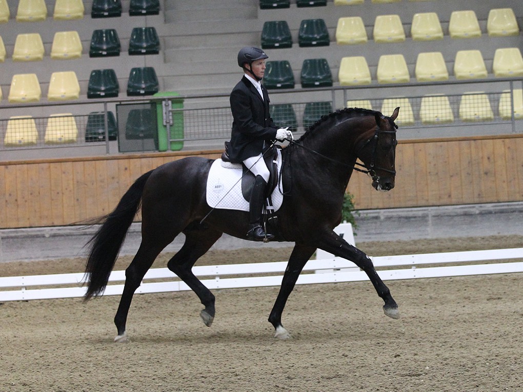 Stadl_Paura4