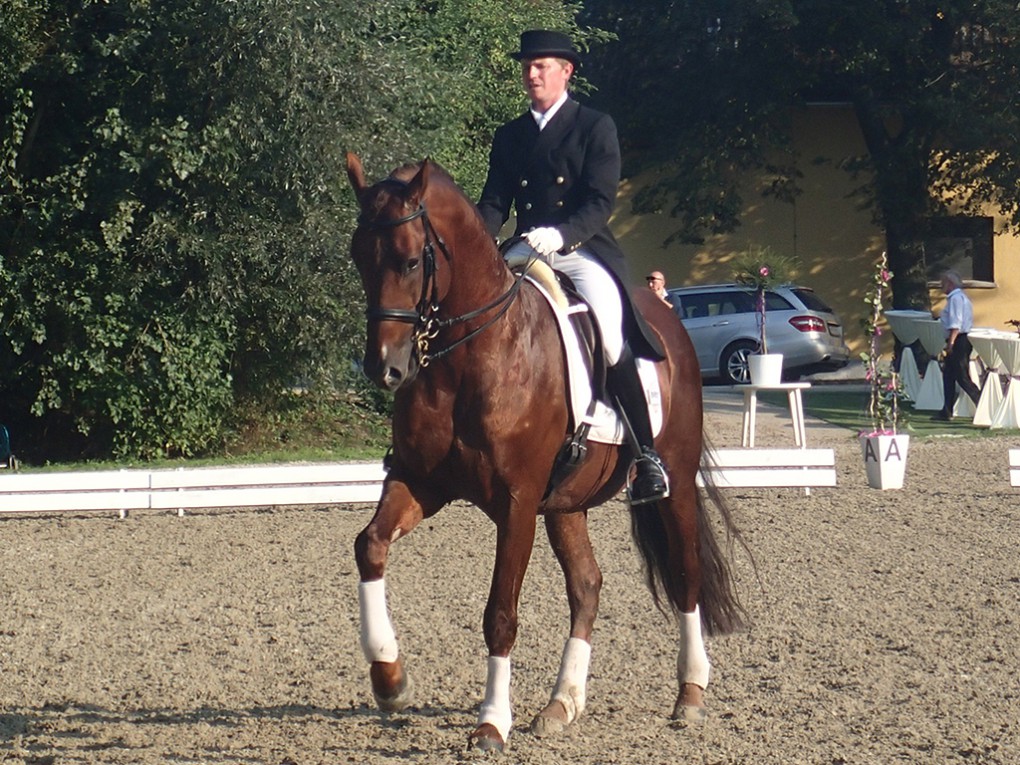 Verdi3