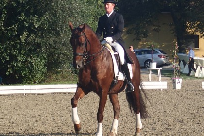 Verdi3